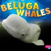 Beluga Whales - Elizabeth R. Johnson