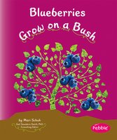 Blueberries Grow on a Bush - Mari Schuh