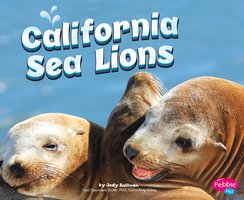 California Sea Lions - Megan Cooley Peterson