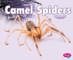 Camel Spiders - Nikki Clapper