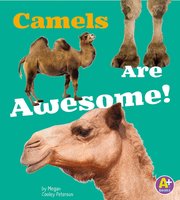 Camels Are Awesome! - Allan Morey