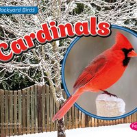 Cardinals - Lisa Amstutz