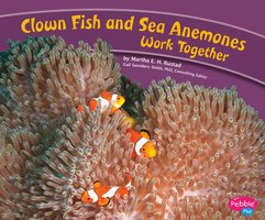 Clown Fish and Sea Anemones Work Together - Martha Rustad