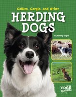 Collies, Corgies, and Other Herding Dogs - Tammy Gagne