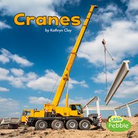 Cranes - Kathryn Clay