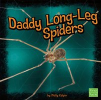 Daddy Long-Leg Spiders - Molly Kolpin
