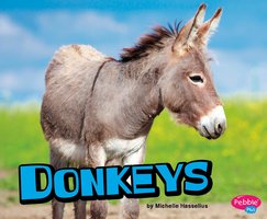 Donkeys - Michelle Hasselius