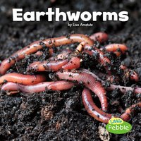 Earthworms - Lisa Amstutz