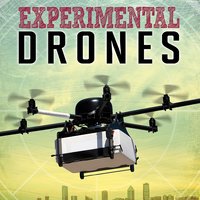 Experimental Drones - Amie Leavitt
