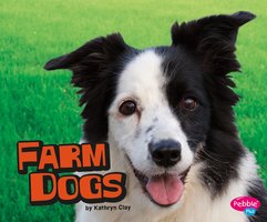 Farm Dogs - Kathryn Clay