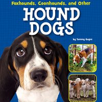 Foxhounds, Coonhounds, and Other Hound Dogs - Tammy Gagne