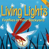 Living Lights: Fireflies in Your Backyard - Nancy Loewen