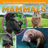 Mammals - Lisa Amstutz