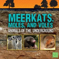 Meerkats, Moles, and Voles: Animals of the Underground - Jody Rake