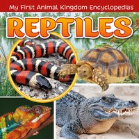 Reptiles - Janet Riehecky