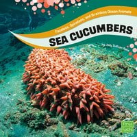 Sea Cucumbers - Jody Rake