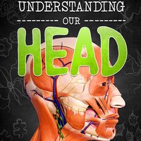 Understanding Our Head - Lucy Beevor
