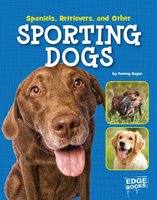 Spaniels, Retrievers, and Other Sporting Dogs - Tammy Gagne