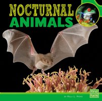 Nocturnal Animals - Kelli Hicks