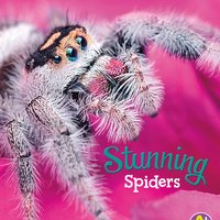Stunning Spiders - Martha Rustad