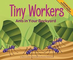 Tiny Workers: Ants in Your Backyard - Nancy Loewen