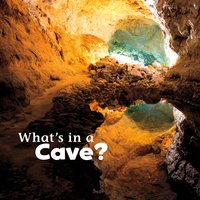 What's in a Cave? - Martha Rustad