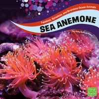 Sea Anemones - Jody Rake