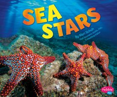 Sea Stars - Mari Schuh