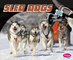 Sled Dogs - Kimberly Hutmacher