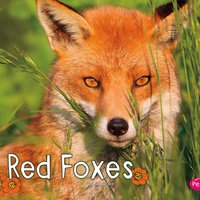 Red Foxes - G.G. Lake