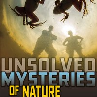 Unsolved Mysteries of Nature - Heather Montgomery
