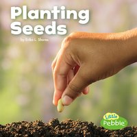 Planting Seeds - Kathryn Clay