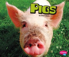 Pigs - Sheri Doyle