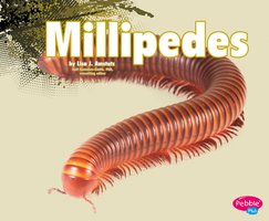 Millipedes - Nikki Clapper