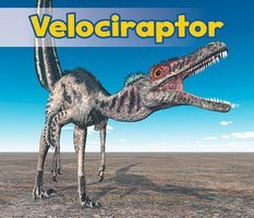 Velociraptor - Daniel Nunn