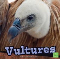 Vultures - Cecilia Pinto McCarthy