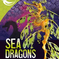 Sea Dragons - Jody Rake