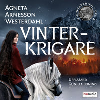 Vinterkrigare - Agneta Arnesson Westerdahl