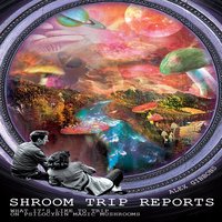 Shroom Trip Reports: What it's like to trip on Psilocybin Magic Mushrooms - Alex Gibbons