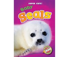 Baby Seals - Christina Leaf