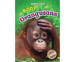Baby Orangutans - Christina Leaf