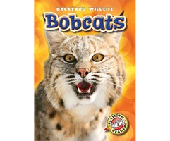 Bobcats - Megan Borgert-Spaniol