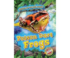 Poison Dart Frogs - Rachel Grack