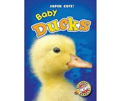 Baby Ducks - Christina Leaf
