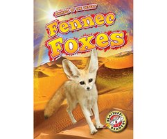 Fennec Foxes - Patrick Perish