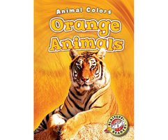 Orange Animals - Christina Leaf