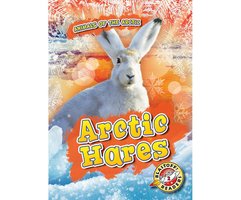 Arctic Hares - Rebecca Pettiford