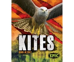 Kites - Nathan Sommer