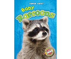 Baby Raccoons - Megan Borgert-Spaniol