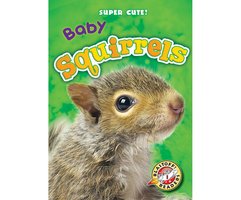 Baby Squirrels - Megan Borgert-Spaniol